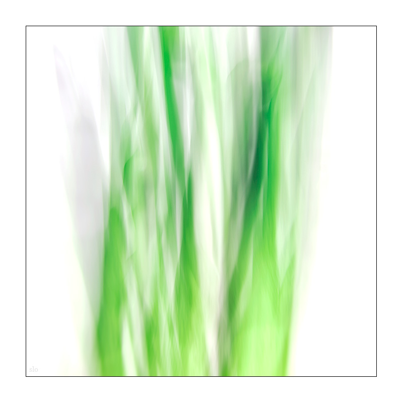 41/365