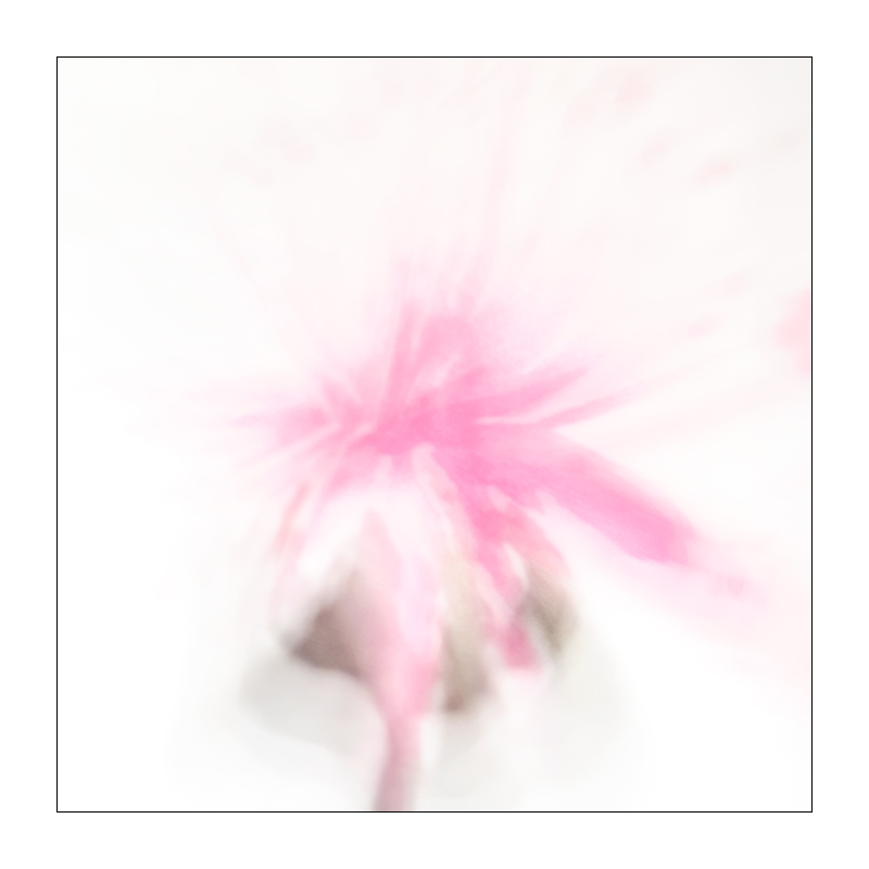 41/365