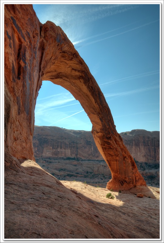 #41 Corona Arch