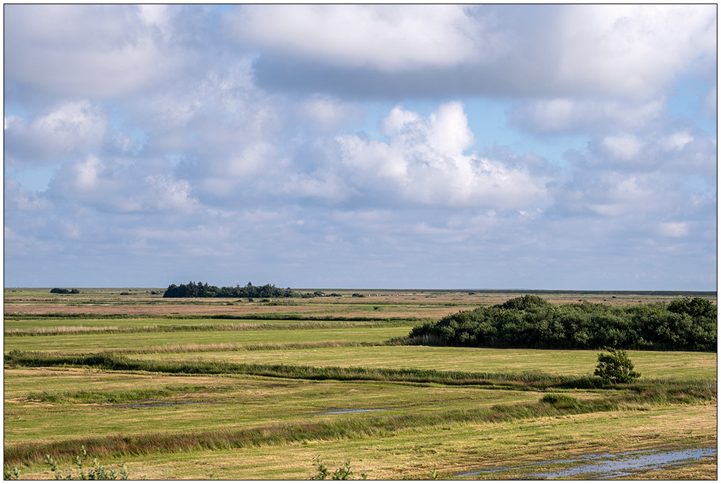 412 Sylt – Auf dem Autozug mit Blick zum Nössedeich