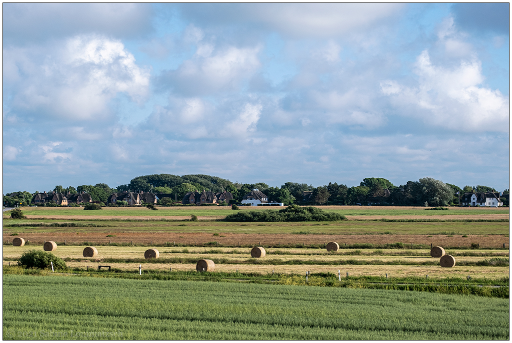 413 Sylt – Auf dem Autozug mit Blick nach Archsum I