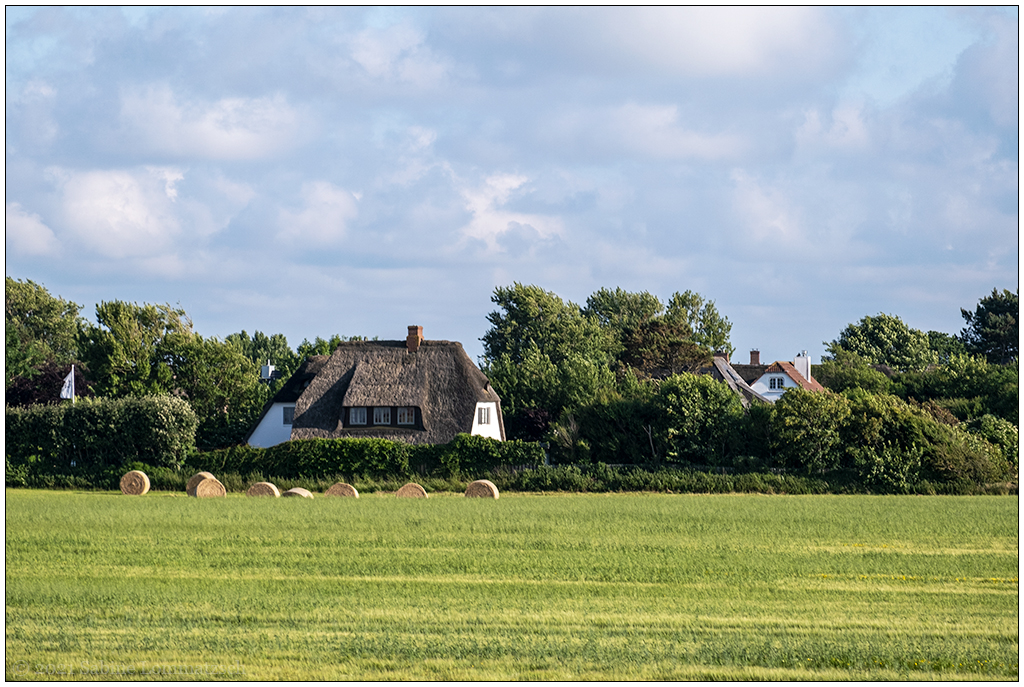 414 Sylt – Auf dem Autozug mit Blick nach Archsum II