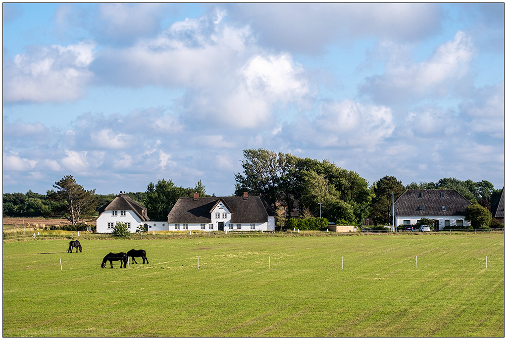 415 Sylt – Auf dem Autozug mit Blick nach Archsum III