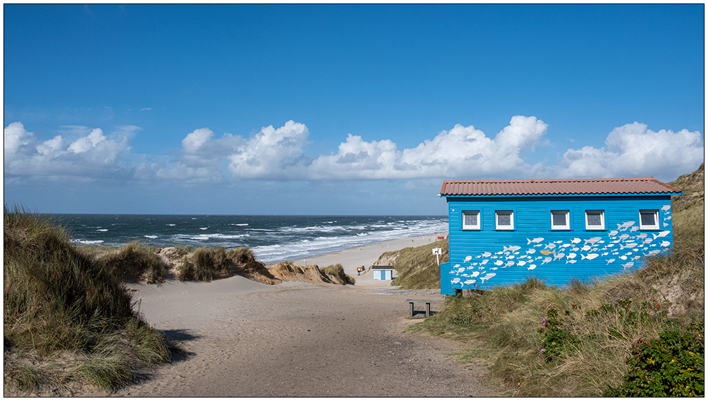 418 Sylt – Spaziergang in Wenningstedt IV