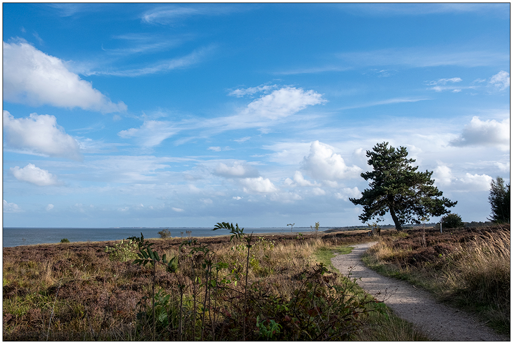 426 Sylt – Spaziergang in der Braderuper Heide I