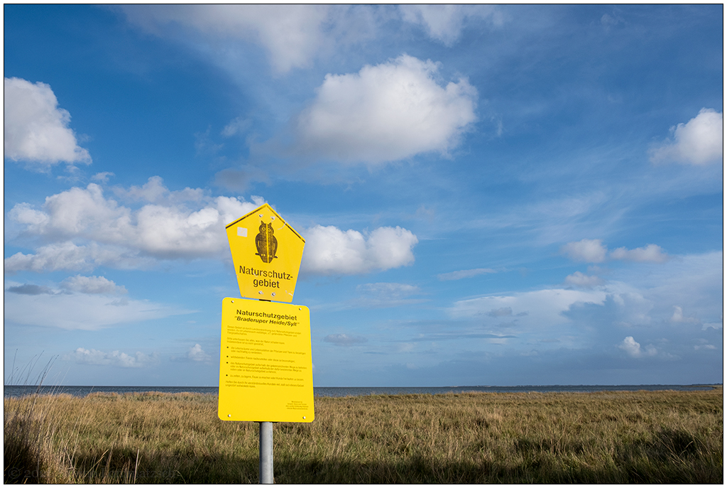 427 Sylt – Spaziergang in der Braderuper Heide II