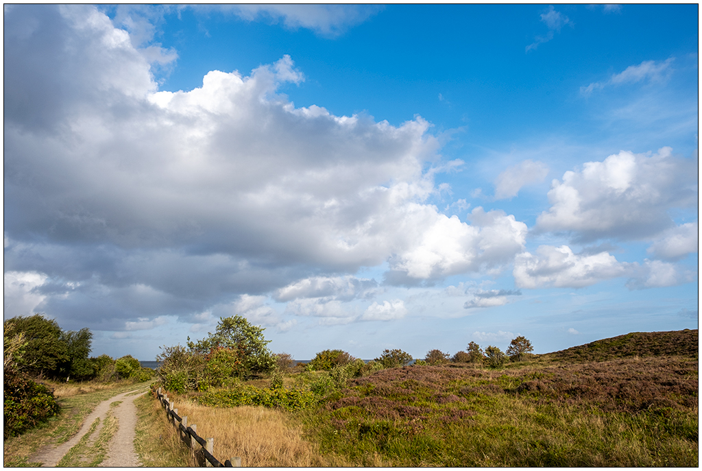 428 Sylt – Spaziergang in der Braderuper Heide III