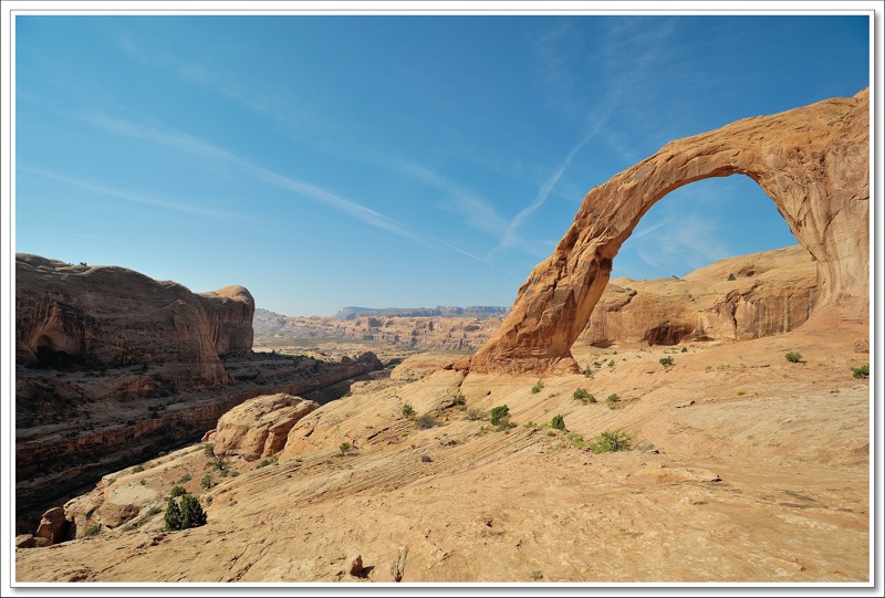 #43 Corona Arch