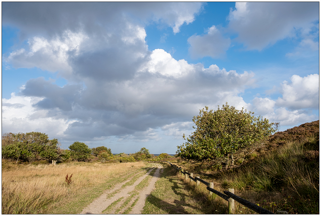 430 Sylt – Spaziergang in der Braderuper Heide V