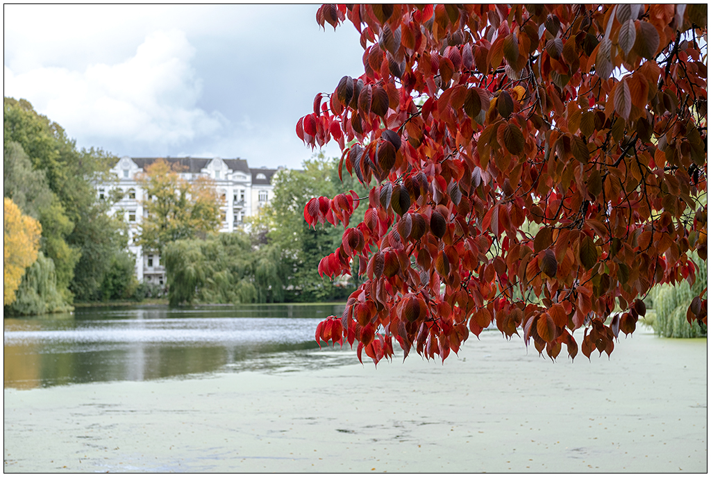 435 Herbstliche Stimmung im Schrevenpark II