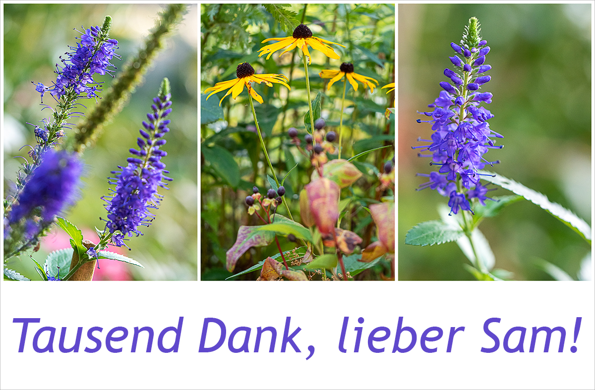 435 Tausend Dank, lieber Sam!