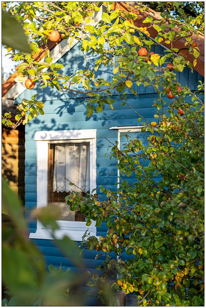 440 Schrebergartenidylle