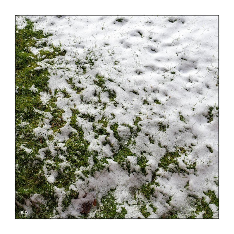 45/365 Nelly Furtado – The Grass Is Green © 2026 Sabine Lommatzsch
