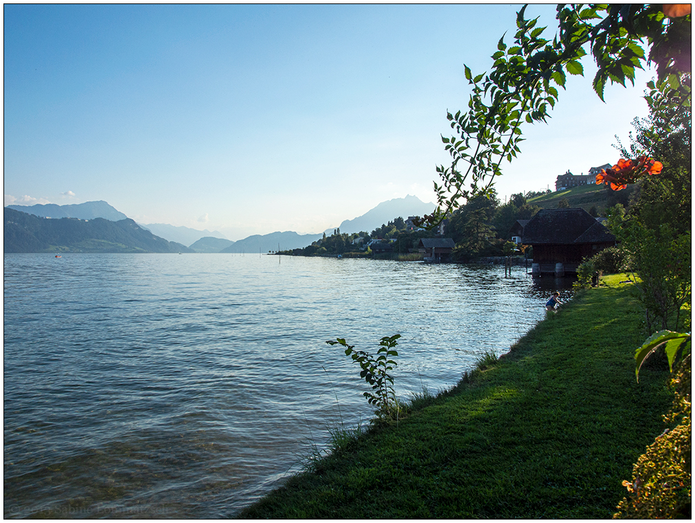 454 Schweiz – In Merlischachen gegen Abend am See (2013)