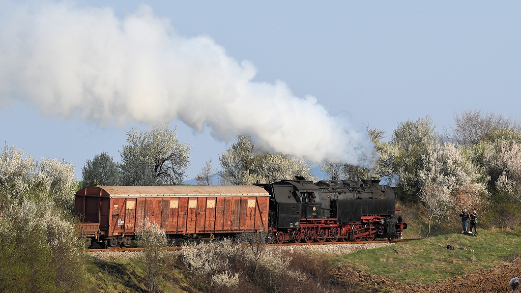 46 03 mit einen Fotogüterzug bei Kjustendil auf der Strecke Kjustendil - Gyueshevo

s620 bKjustendil 46 03 0275