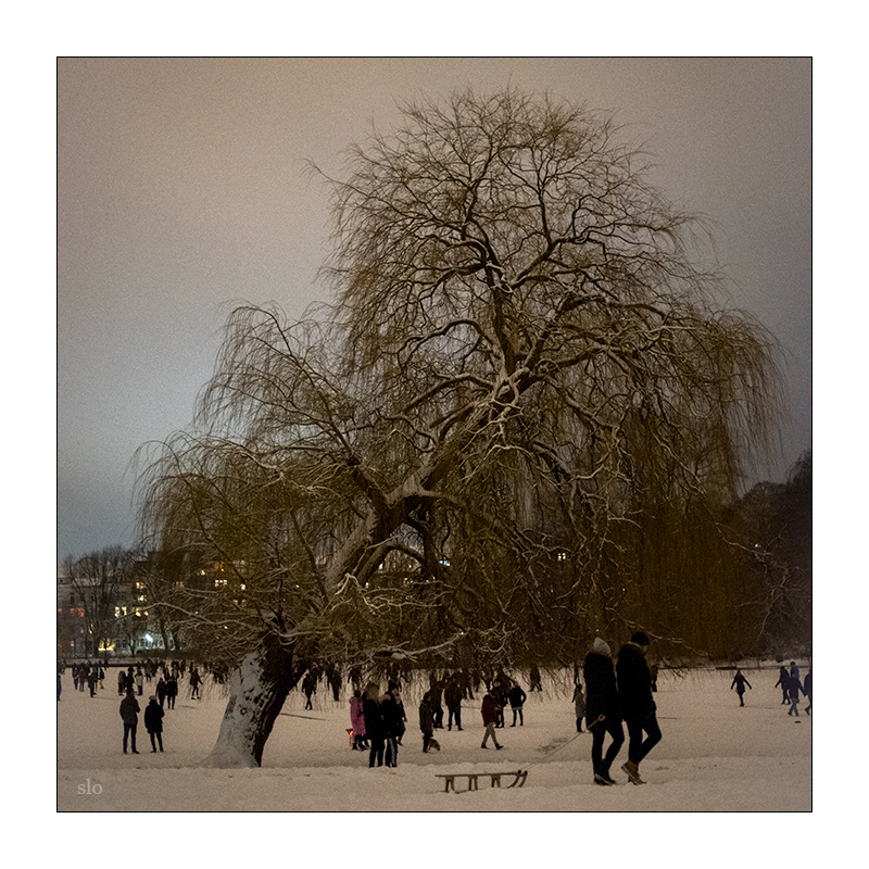 46/365