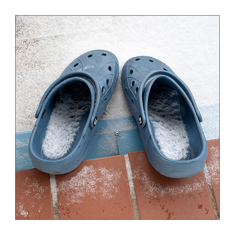47/365 Red Hot Chili Peppers – Snow (Hey Oh) © 2026 Sabine Lommatzsch
