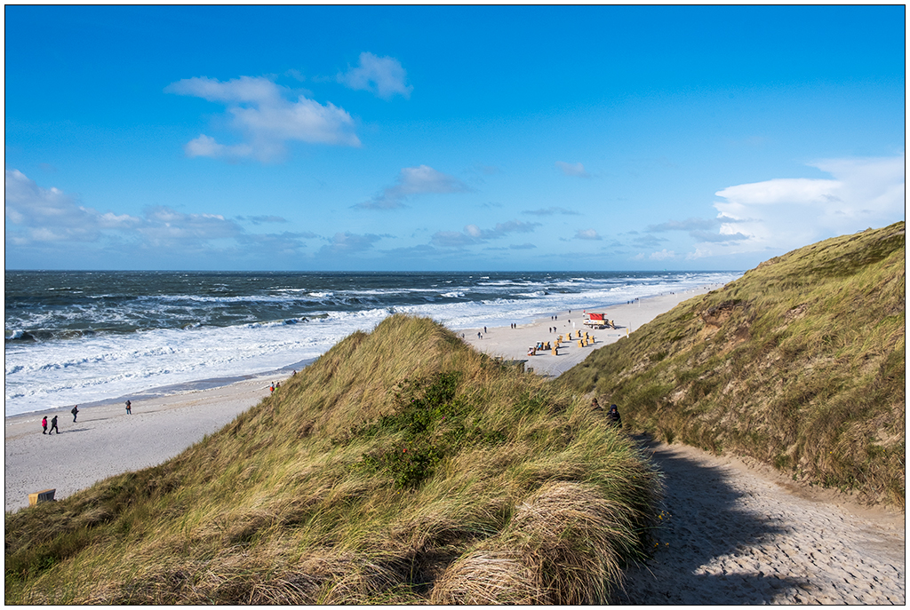 470 Sylt – Spaziergang in Wenningstedt IV