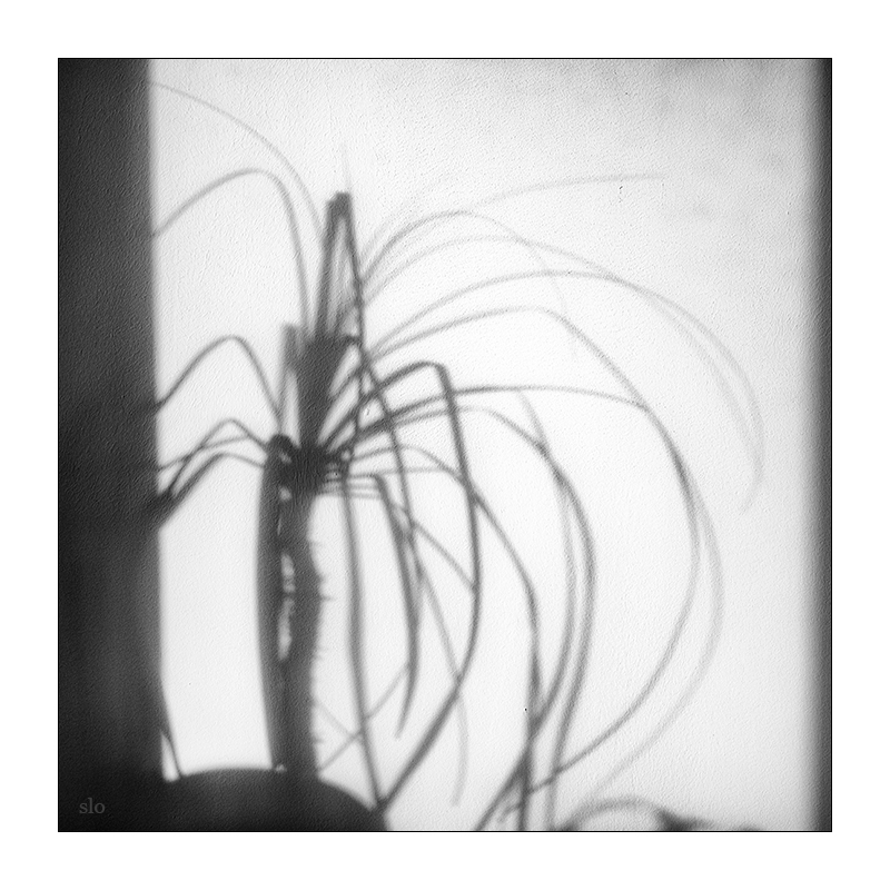 48/365