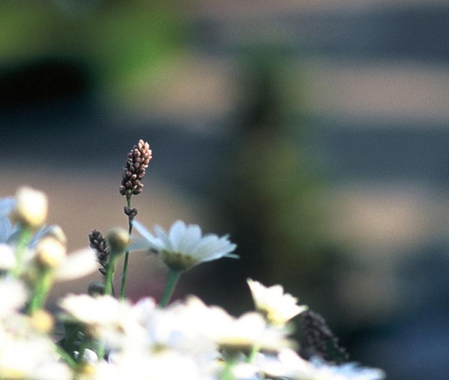 4858 22 crop