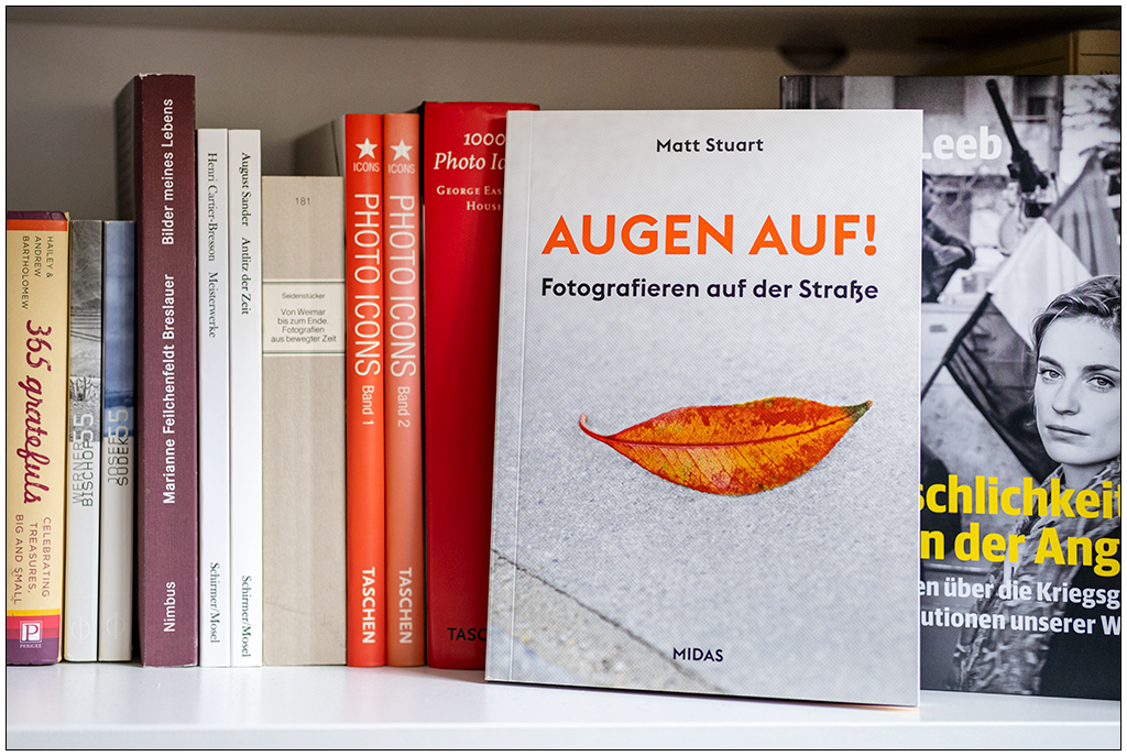 487 Bücherregal mit Fotobüchern