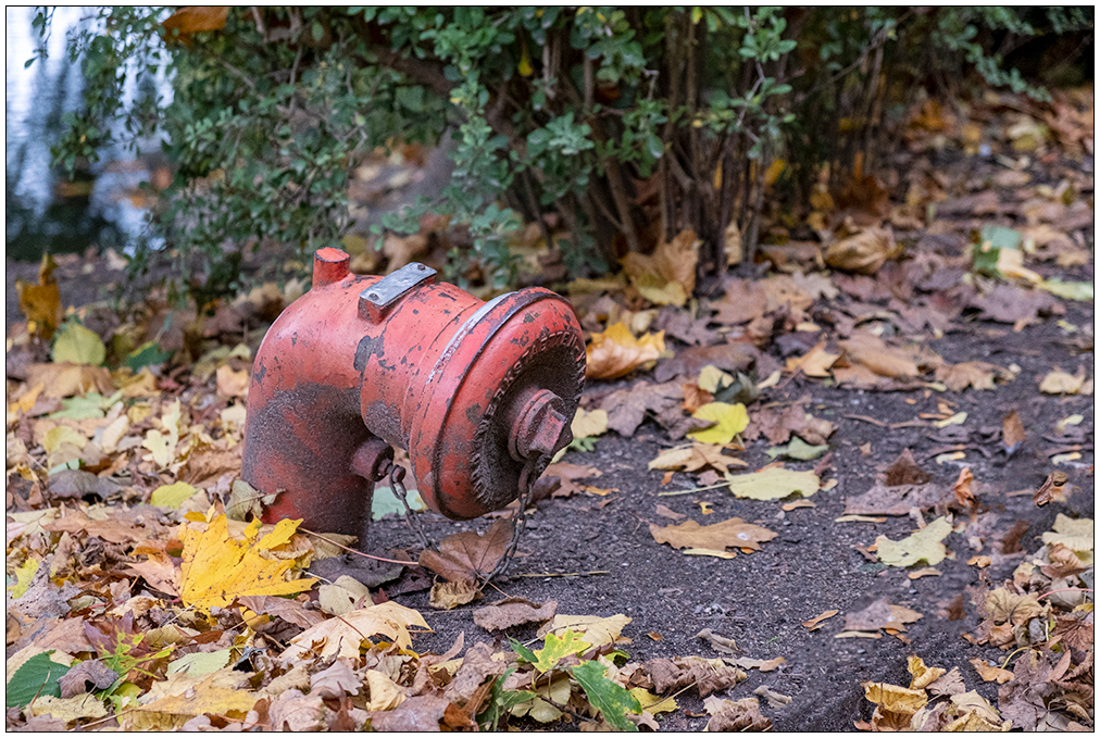 491 Hydrant im Kieler Schrevenpark
