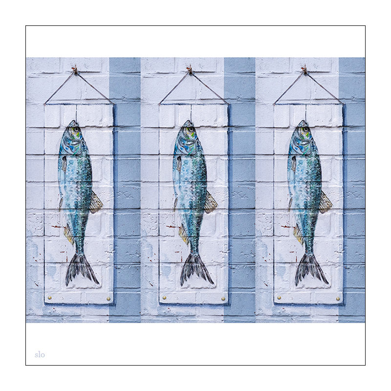497 3er-Tableau mit Fischen
