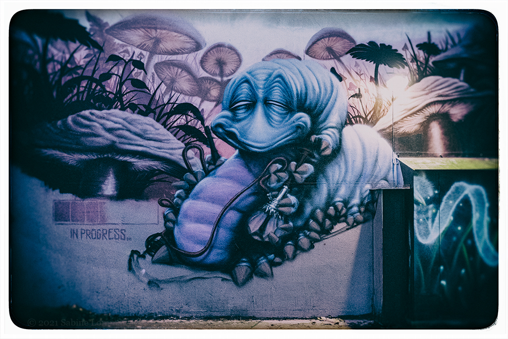 497 Graffiti Alien