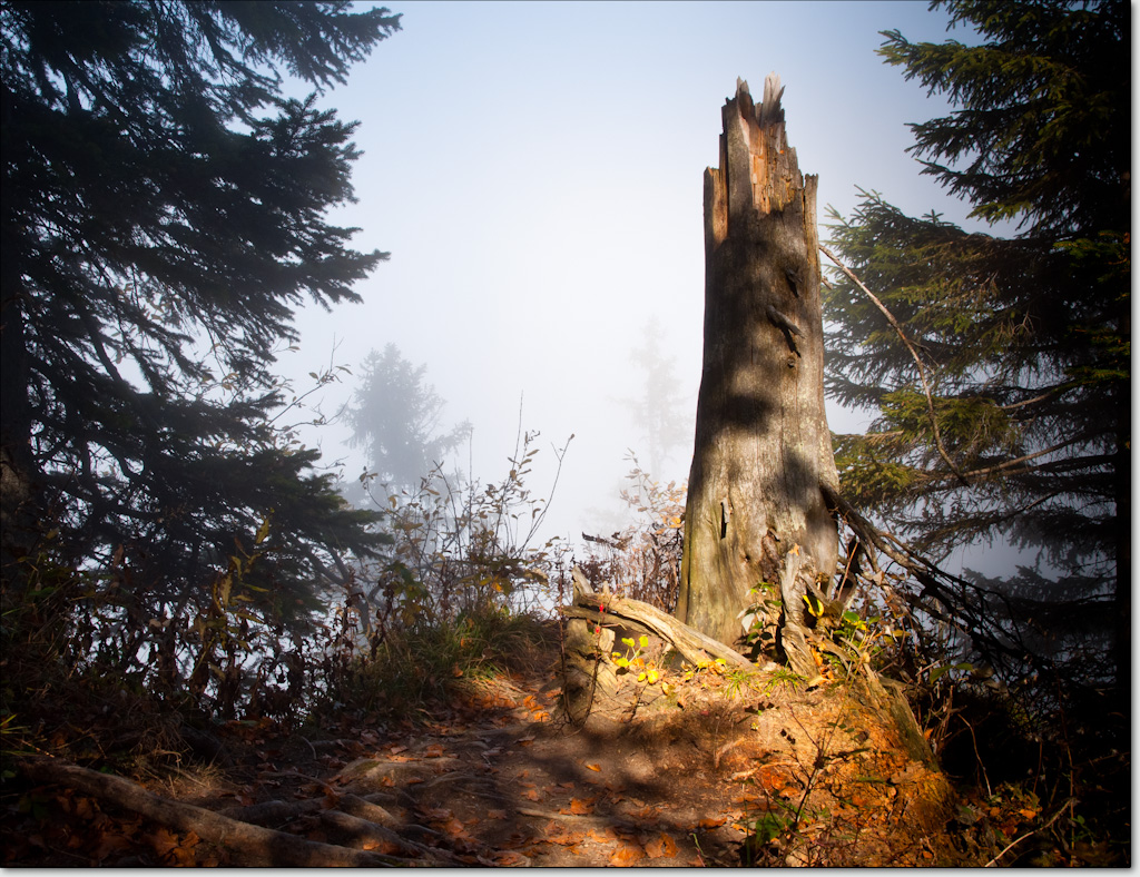 5 Steineberg 2