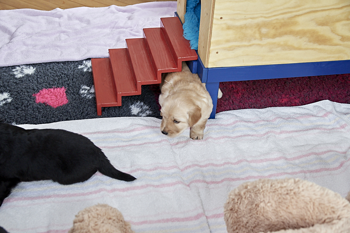 500_4161-1.jpg