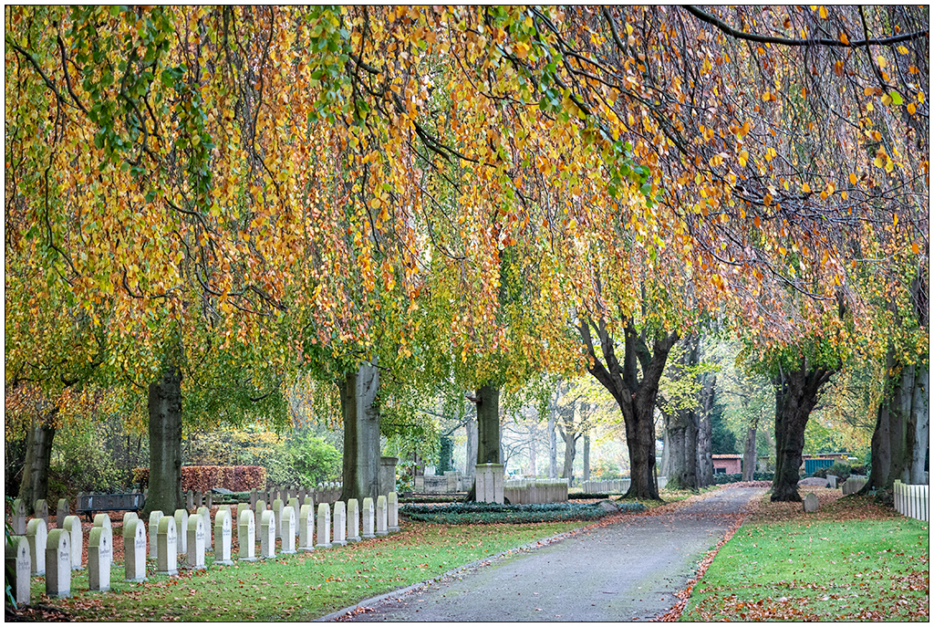 502 Kiel Nordfriedhof