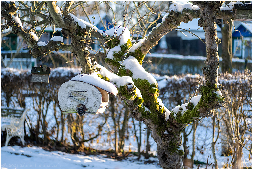 508 Winterspaziergang im Schrebergartengelände III