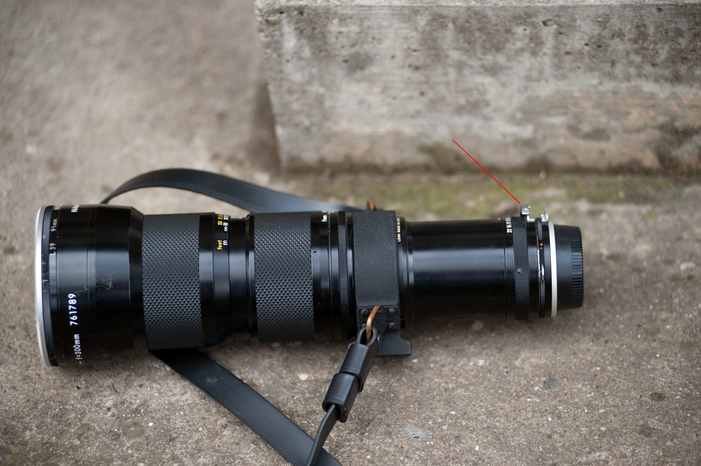50DSC 4668