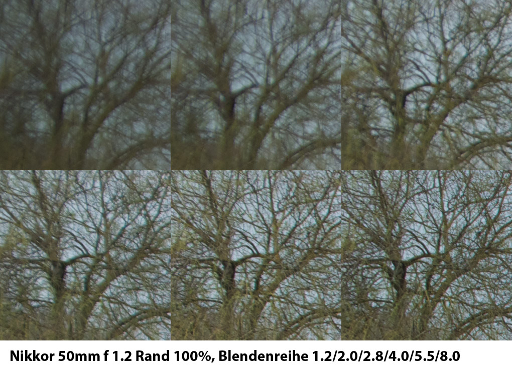 50er Rand