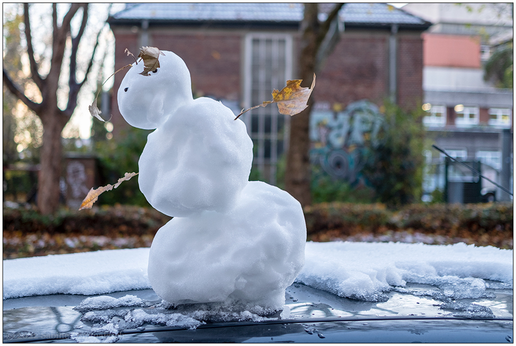 511 Schnee-Begegnung auf dem Spaziergang zur Bünte