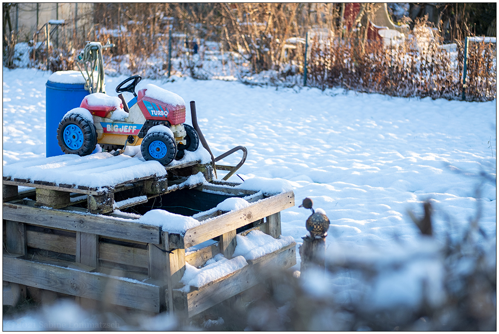 512 Winterspaziergang im Schrebergartengelände VII