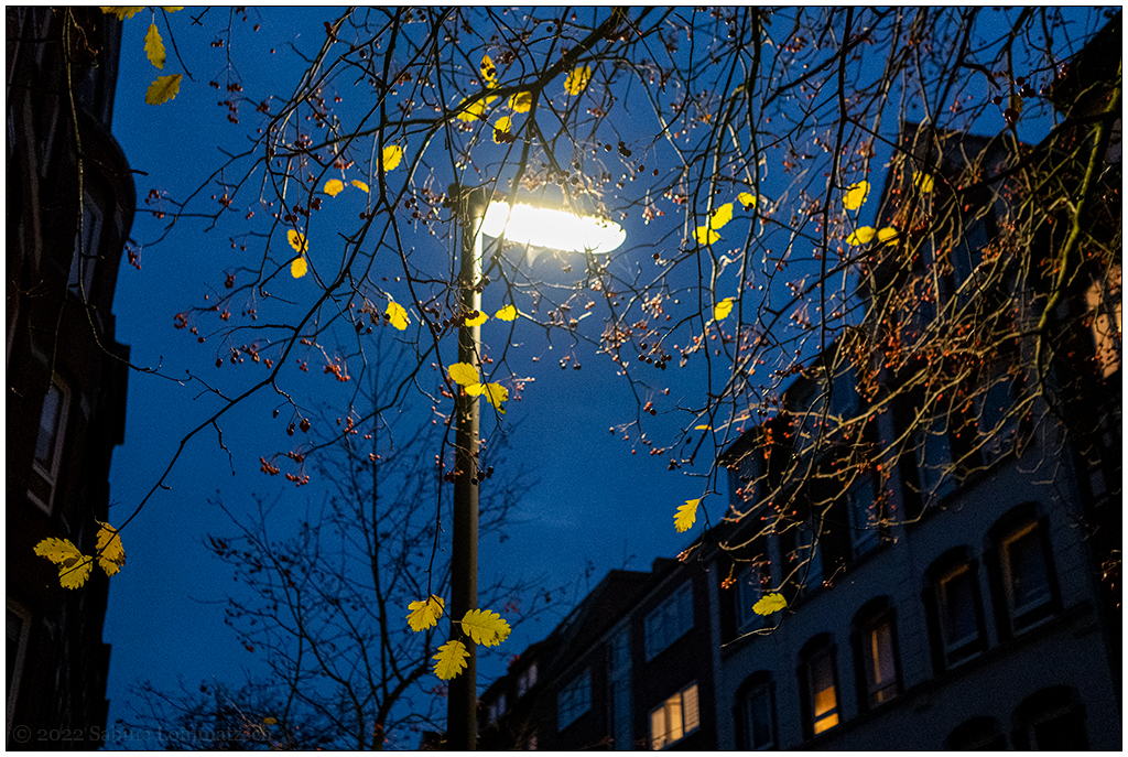 518 Abendspaziergang mit Straßenlaterne