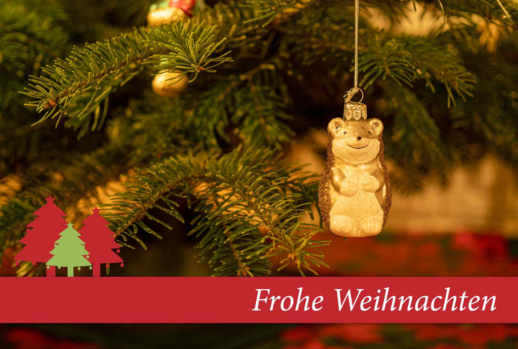 518 Frohe Weihnachten (Bärchen)