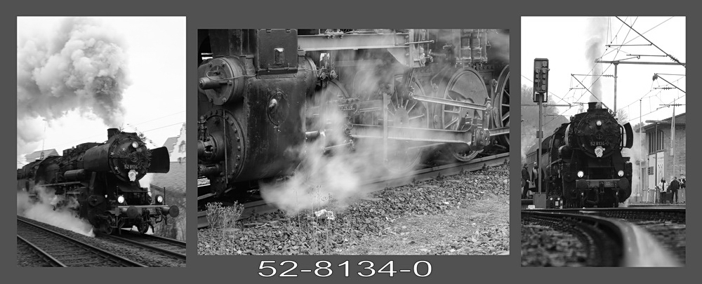52 8134 0