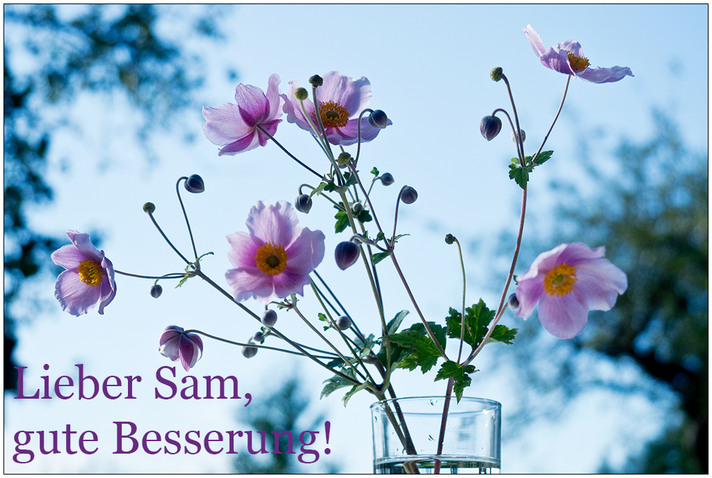 523 Gute Bessserung!