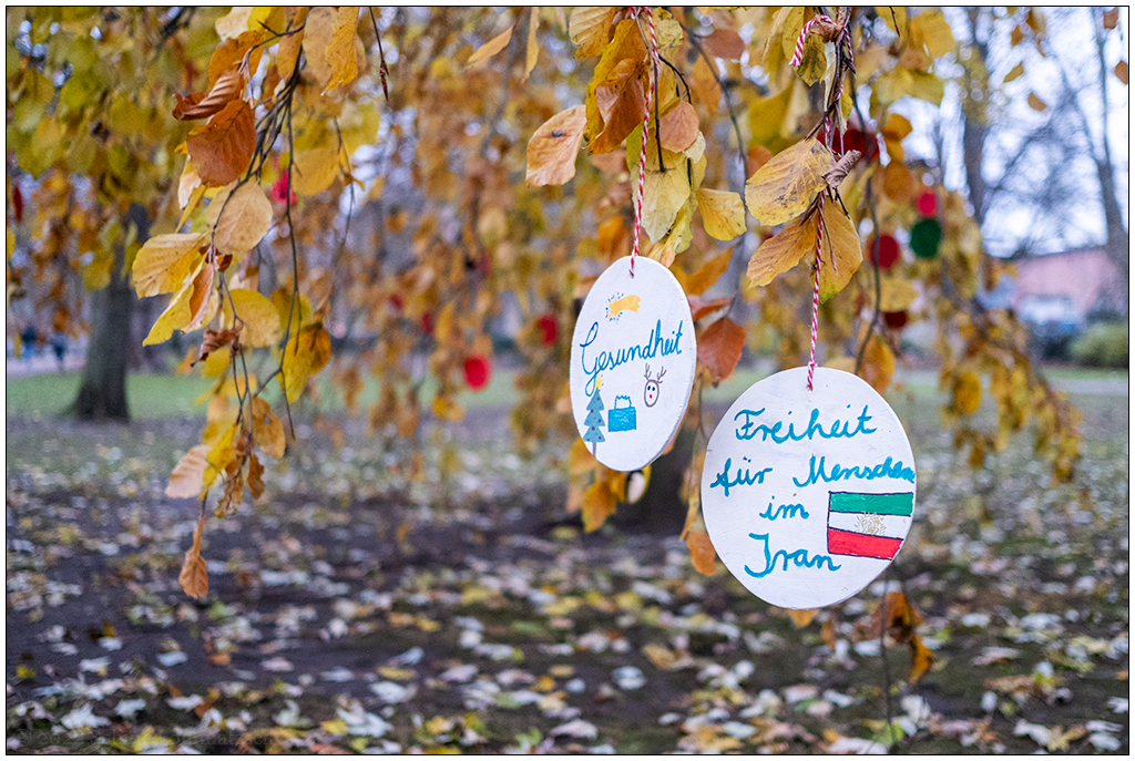 526 Wunschbuche im Kieler Schrevenpark – Free Iran
