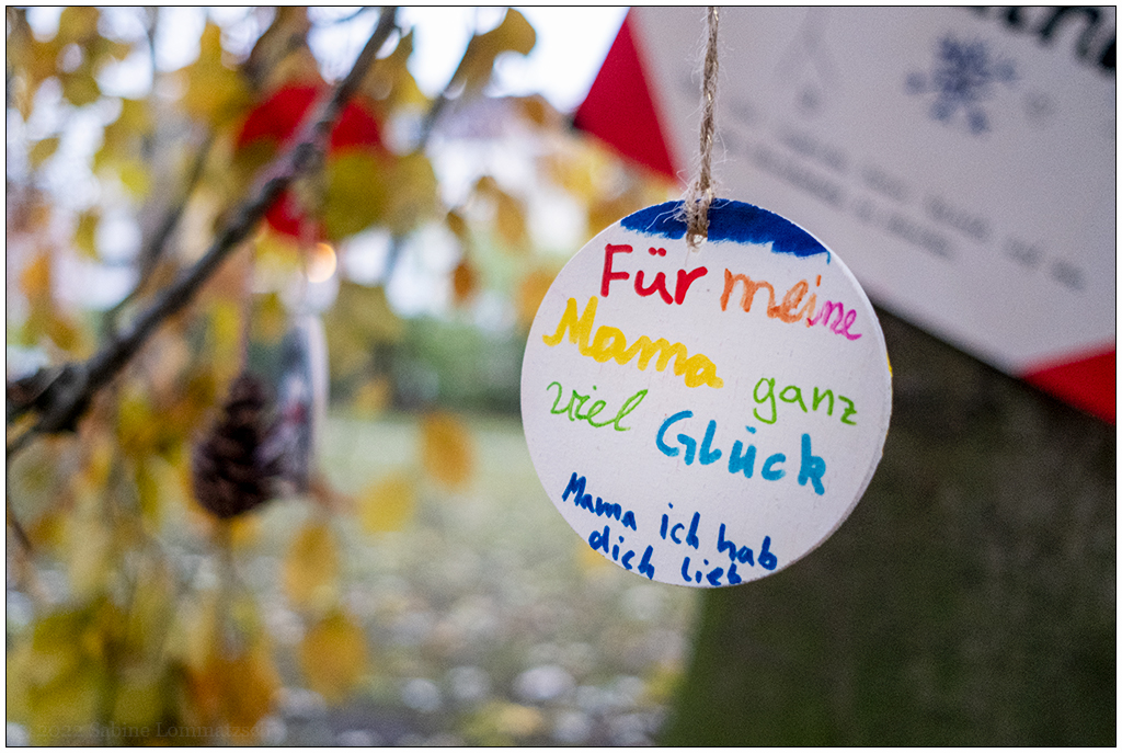 530 Wunschbuche im Kieler Schrevenpark – Für Mama
