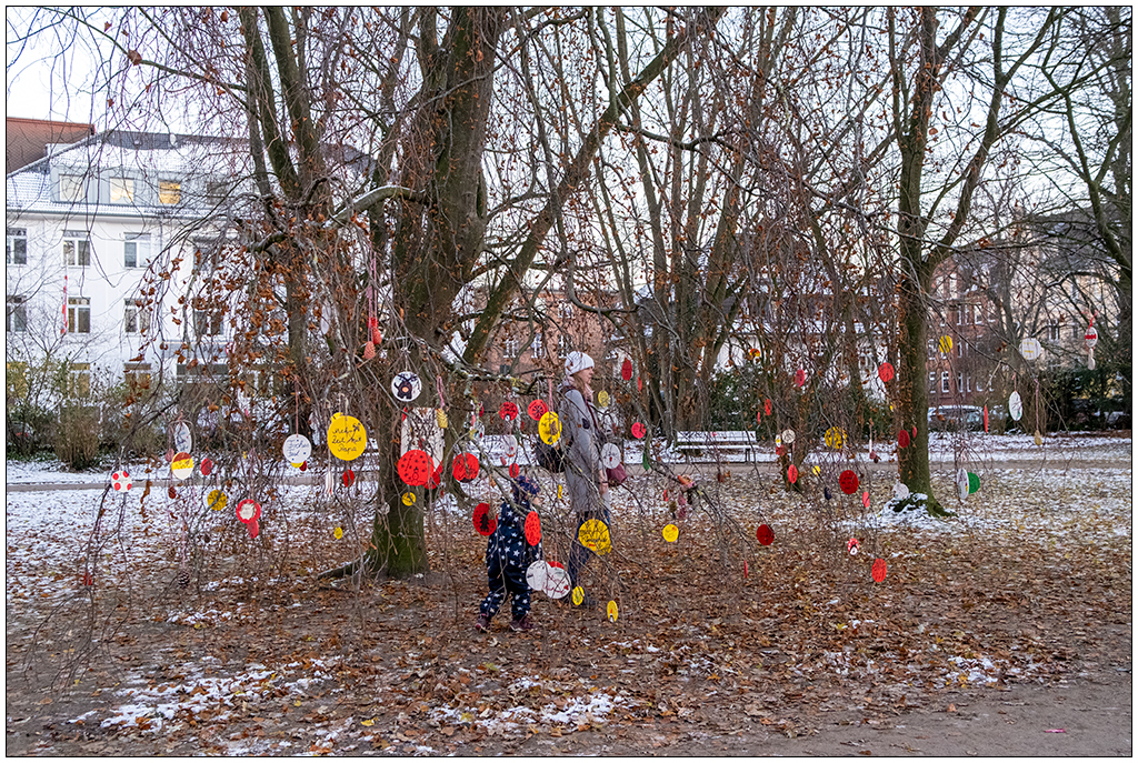 534 Schrevenpark Wunschbaum I