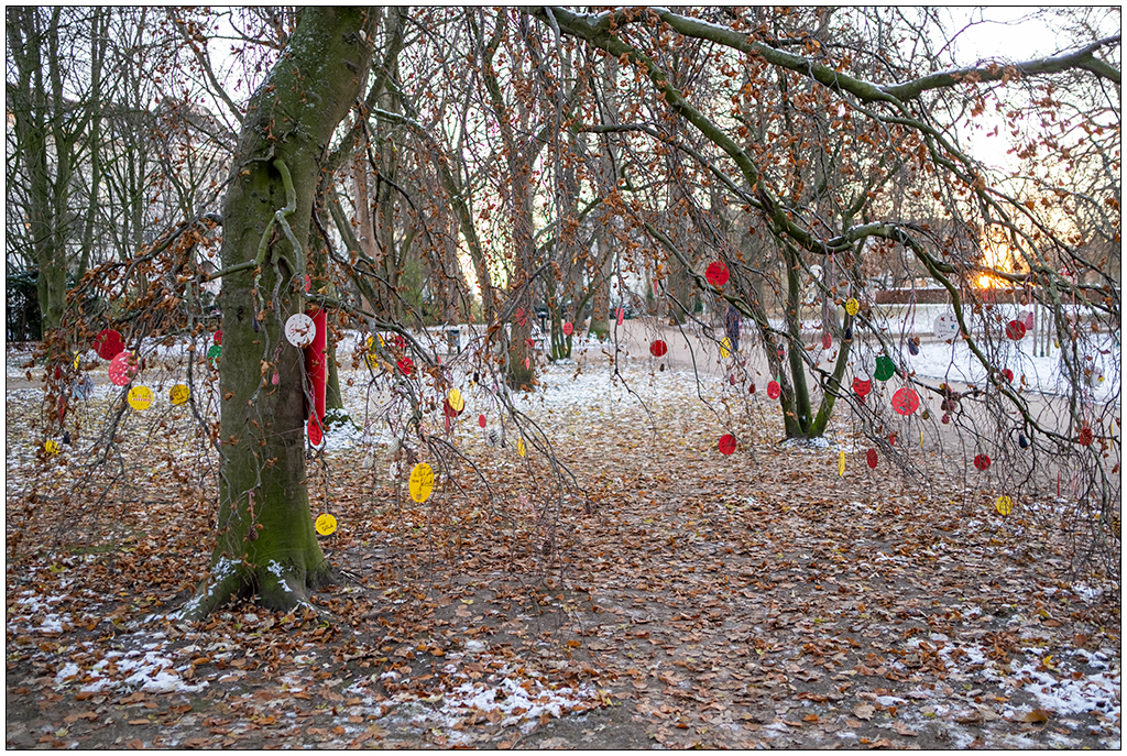 536 Schrevenpark Wunschbaum III