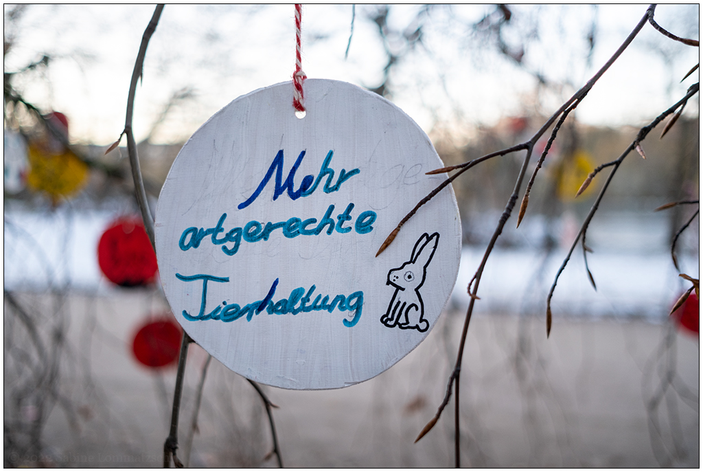 539 Schrevenpark Wunschbaum VI
