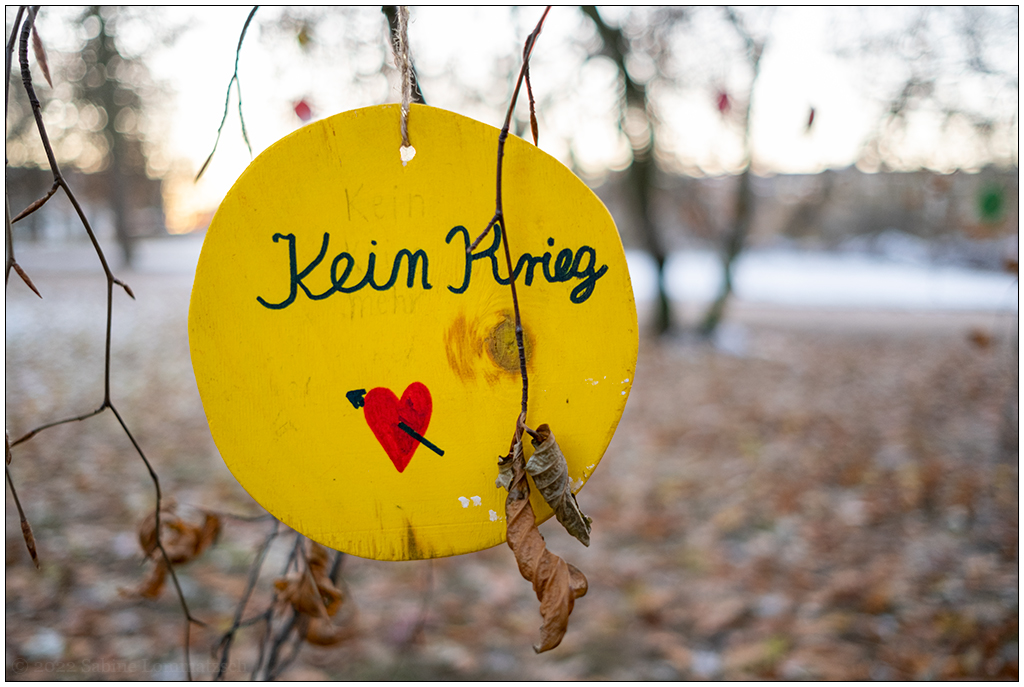 544 Schrevenpark Wunschbaum XI