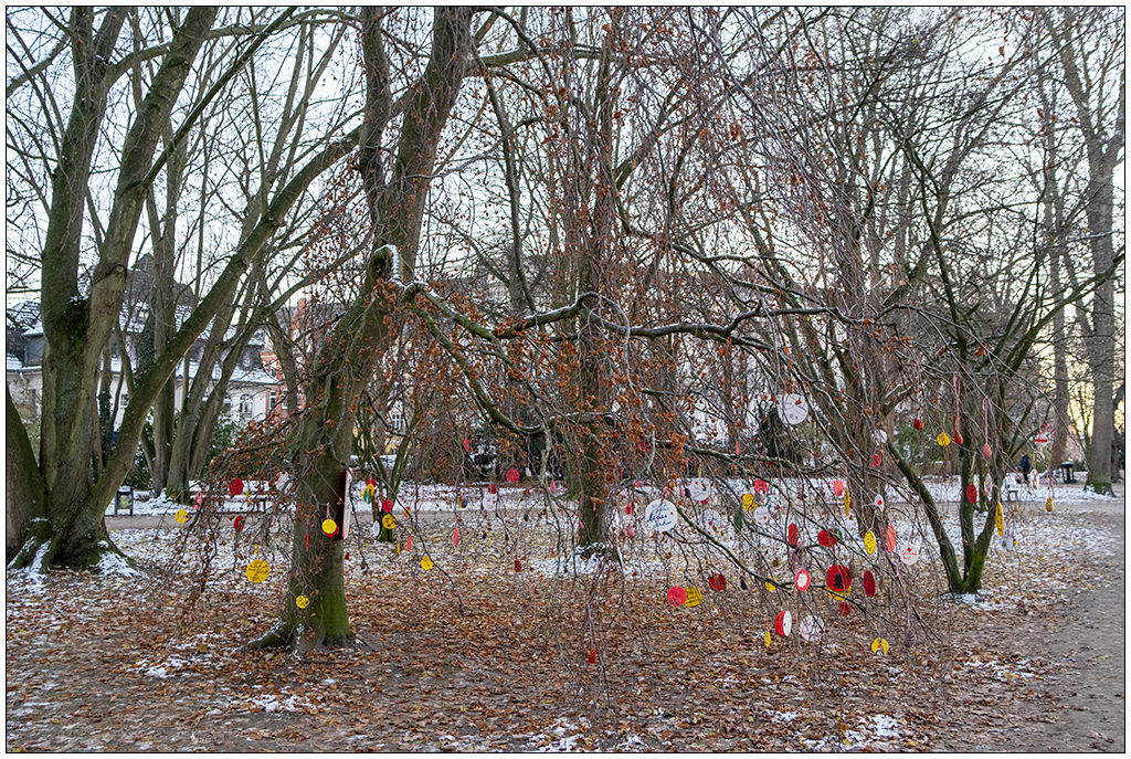 547 Schrevenpark Wunschbaum XIV
