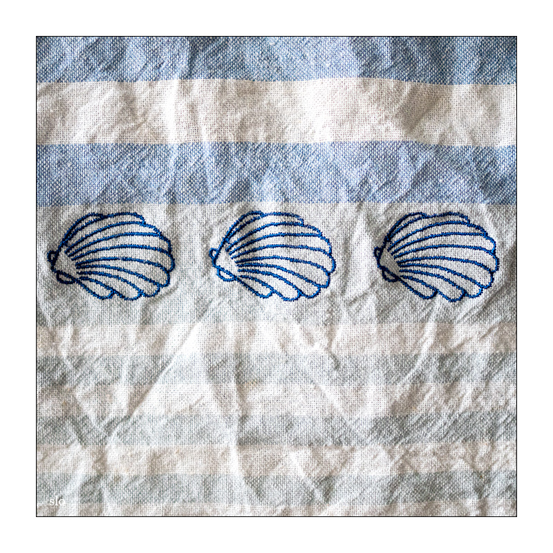 55/365 Supertramp – Hide In Your Shell © 2026 Sabine Lommatzsch