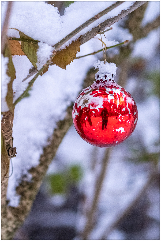 559 Schrevenpark – Weihnachtsbaumkugel-Selfie