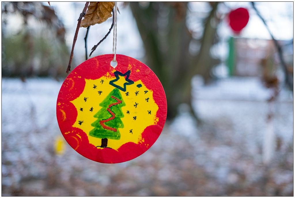 569 Schrevenpark – Wunschbaum Tannenbaum